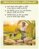 চাল উৎপাদনে ইতিবাচক ধারায় বাংলাদেশ  
