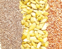 হৃদযন্ত্র ভালো রাখার অভ্যাস  