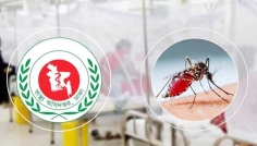 ২৪ ঘণ্টায় ডেঙ্গুতে আরও ৭ জনের মৃত্যু