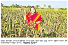 দুর্গাপুরে 'ব্ল্যাক রাইস' চাষে নতুন সম্ভাবনা  