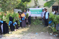 বরগুনায় ৪০০ উপকারভোগীর মাঝে ডিএফইডির ১২০০ গাছের চারা বিতরণ