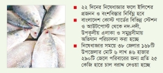 মা ইলিশ রক্ষায় কোস্ট গার্ডের উদ্যোগ  