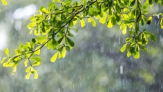 বৃষ্টি কবে হতে পারে তা জানাল আবহাওয়া অধিদপ্তর