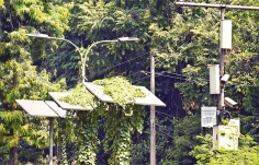 রক্ষণাবেক্ষণের অভাব  