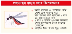 ডেঙ্গু নিয়ন্ত্রণে সমন্বিত উদ্যোগ  