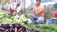 এক জেলায় ৮০০ কোটি টাকার শাকসবজি উৎপাদন  