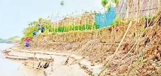 কুষ্টিয়ায় পদ্মার ভাঙনে ২০০ একর জমি বিলীন 