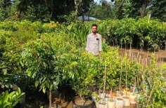 সিরাজগঞ্জে নার্সারীতে উৎপাদিত চারা বিক্রিতে স্বচ্ছলতা ফিরছে কৃষকের