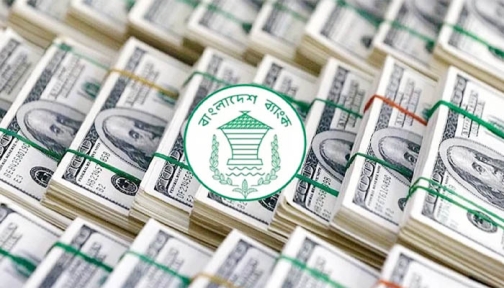 ২৪ দিনে দেশে এলো ২৪ হাজার কোটি টাকার রেমিট্যান্স