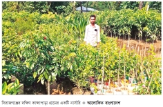 সিরাজগঞ্জে শতাধিক নার্সারি ফিরছে সচ্ছলতা  