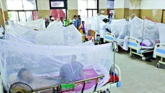 ডেঙ্গুতে একদিনে সর্বোচ্চ ১১ জনের মৃত্যু