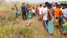সিরাজদিখানে বাবা-মেয়েকে কুপিয়ে হামলা, শিশুর পর বাবার মৃত্যু