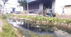 চালকলের বর্জ্য ও দূষিত পানিতে পরিবেশ দূষণ  