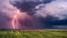 ধানের মাঠে মৃত্যু: বজ্রপাত কেড়ে নিল কৃষকের প্রাণ