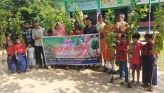 নালিতাবাড়ীতে পাঁচ শতাধিক গাছের চারা রোপণ
