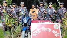 ঠাকুরগাঁওয়ে মাদকদ্রব্যসহ আটক ১