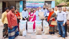 বীরগঞ্জে বিনামূল্যে বীজ ও রাসায়নিক সার বিতরণ কার্যক্রমের উদ্বোধন