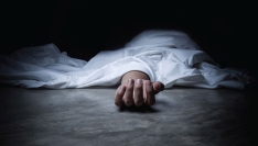 আলমডাঙ্গায় গাছের ভাঙা ডালের চাপায় স্বামী নিহত, আহত স্ত্রী