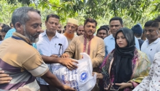 চুয়াডাঙ্গায় ঘূর্ণিঝড়ে ক্ষতিগ্রস্ত এলাকা পরিদর্শনে এমপি মাসুদ পারভেজ