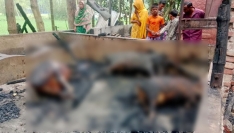 কুড়িগ্রামে ভয়াবহ অগ্নিকাণ্ডে বসতবাড়ি পুড়ে ছাই, ১৫ লাখ টাকার ক্ষতি