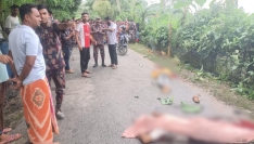 যশোরের শার্শায় মুখোমুখি সংঘর্ষে নিহত ২, আহত ১