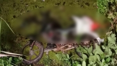 ফরিদপুরের বোয়ালমারীতে সড়ক দুর্ঘটনায় কৃষকের মৃত্যু