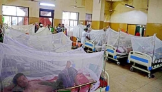 ডেঙ্গুতে আরও ২৭৬ জন হাসপাতালে ভর্তি