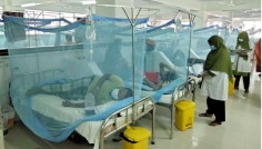 ডেঙ্গু আক্রান্ত হয়ে আরও ২৬৭ জন হাসপাতালে ভর্তি 