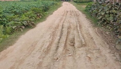 স্বাধীনতার ৫৪ বছরেও ঘোড়াঘাটের সড়কগুলোর বেহাল দশা