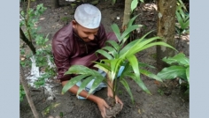 পরিবেশ দিবসে ইবি ছাত্র আন্দোলনের বৃক্ষরোপণ কর্মসূচি