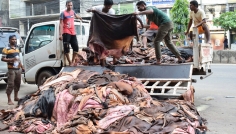 কাঁচা চামড়ার দাম নিয়ে এখনও কাটেনি ধোঁয়াশা