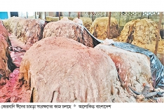 ঢাকাসহ ছয় বিভাগে কোরবানির ২৫ লাখ চামড়া সংরক্ষণ  
