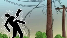 বান্দরবানে বিদ্যুৎস্পৃষ্টে ৩‌ ম্রো নারী নিহত