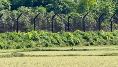 সীমান্তে বিএসএফের গুলিতে বাংলাদেশি নিহত