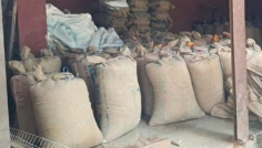 যুবদল নেতার গুদাম থেকে সরকারি চাল উদ্ধার