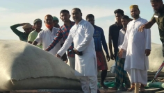 যমুনার তীর সংরক্ষণ বাঁধের ভাঙন ঠেকাতে জিও ব্যাগ ডাম্পিং শুরু