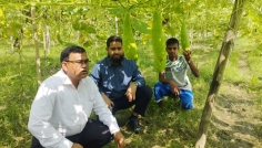 বীরগঞ্জে লাউ চাষে স্বাবলম্বী মানিক