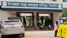 সখীপুরে শিয়াল ও বানরের কামড়ে আহত ১১