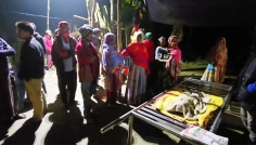 কিশোরগঞ্জে শিয়ালের কামড়ে দুই বছরের শিশুর মৃত্যু