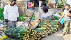 বিলুপ্তির পথে ঐতিহ্যবাহী চুঙ্গা পিঠার উপকরণ ‘ঢলু বাঁশ’