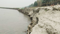 সিরাজগঞ্জের চৌহালীতে যমুনার ভাঙনে আতংকিত চরবাসী