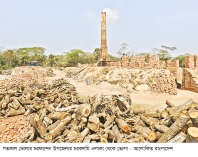 চরফ্যাশনে অবৈধ ইটভাটায় পুড়ছে বনের কাঠ 
