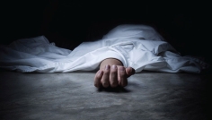 আলমডাঙ্গায় গাছের ভাঙা ডালের চাপায় স্বামী নিহত, আহত স্ত্রী