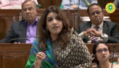 বর্তমানে দেশে কোনো জ্বালানি সংকট নেই: পররাষ্ট্র প্রতিমন্ত্রী