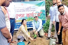 বৃক্ষরোপণ  