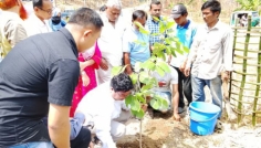 পাঁচ বছরে ৪১ হাজার গাছ লাগাবে রাঙ্গামাটি সড়ক ও জনপথ বিভাগ