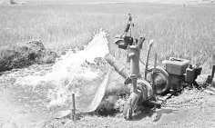 জ্বালানি সংকটের থাবায় কৃষি খাত  