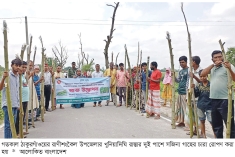 সজিনা চাষ সম্প্রসারণে রোপণ কার্যক্রমের উদ্বোধন  