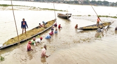 পানির নিচে তলিয়ে গেছে কৃষকের বোনা সোনালী ফসল  