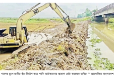 চলনবিলে ঢুকছে পানি বোরো ধান নিয়ে দুশ্চিন্তায় কৃষক  